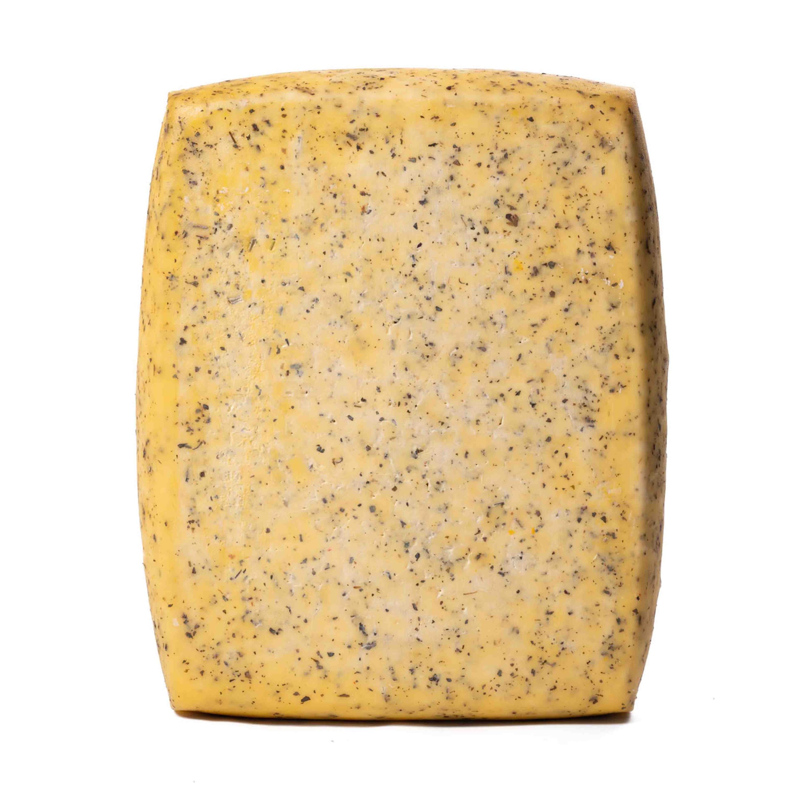 oregano01